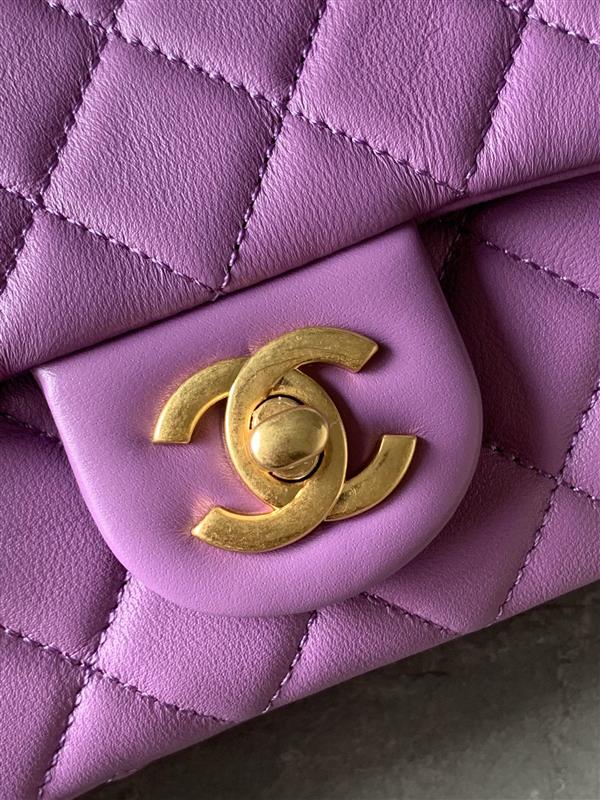 2026131214158623 500